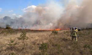 The fire at Chobham Common