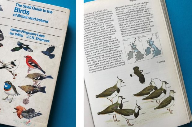 Shell Guide to the Birds of Britain and Ireland [First published in 1983]