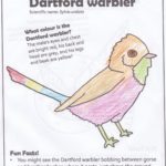 Colouring in sheet of a particularly colourful Dartford warbler.