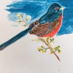 Bold watercolour of a Dartford warbler on a branch.