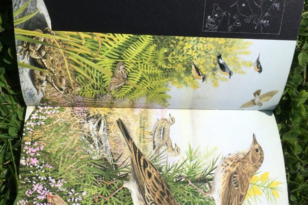 Photograph of heathland wildlife from Dave's favourite book