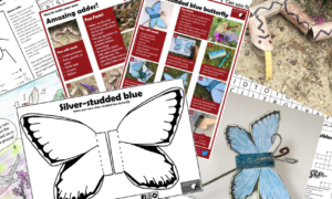 Photo shows a selection of our downloadable activities for kids including a make-your-own butterfly