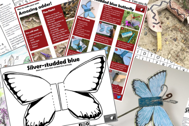 Photo shows a selection of our downloadable activities for kids including a make-your-own butterfly