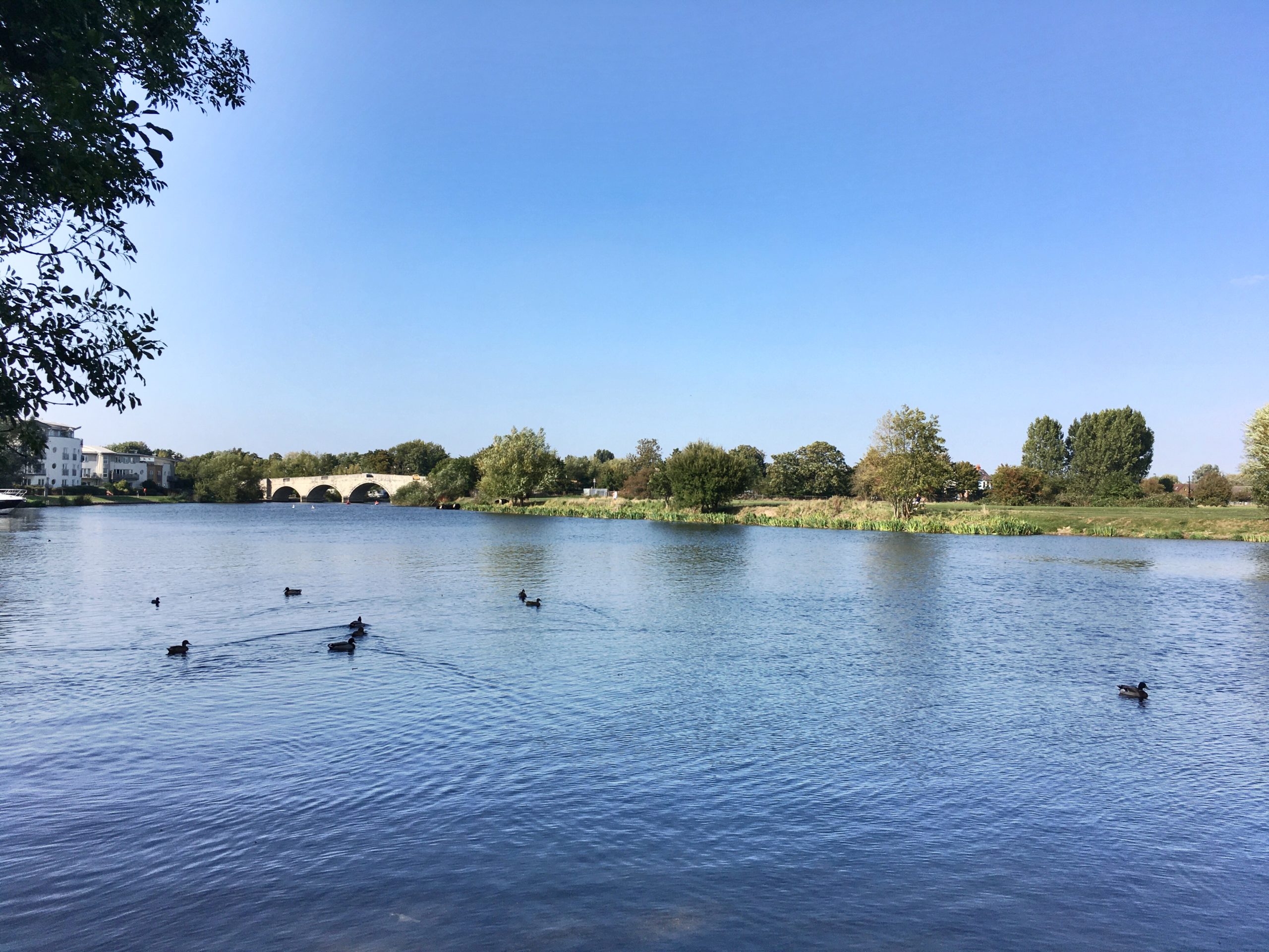 Viewpoints from your doorstep 9. Chertsey Meads Thames Basin Heaths