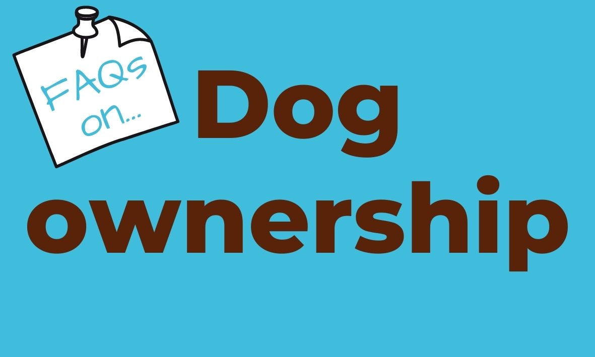 Click here for answers to questions about dog ownership