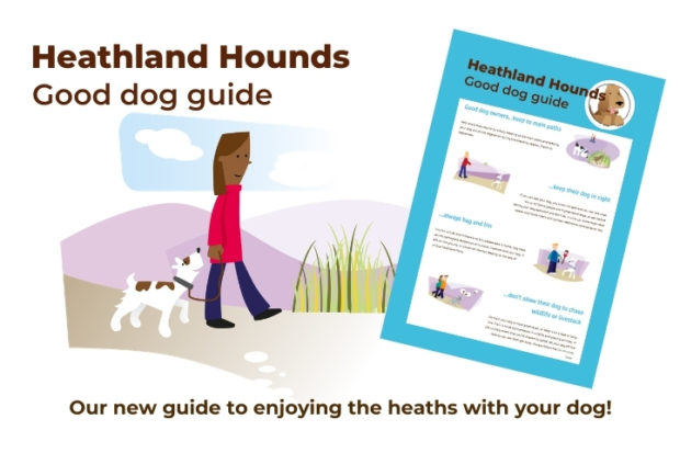 Heathland Hounds - Good dog guide - Our new guide to enjoying the heaths with your dog!