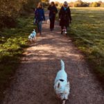 A Heathland Hounds members & their dogs