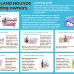 'Good dog guide' graphics. Please go to 'Good dog guide' on the main menu for an accessible version.