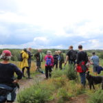 Group gathered on a hill at Chobham Common.