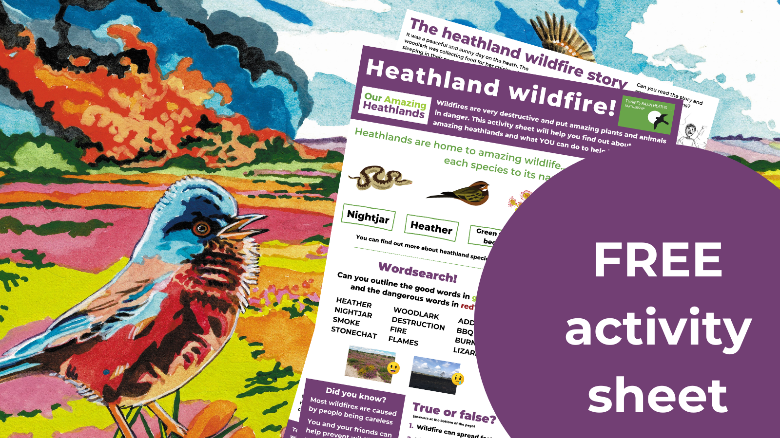 Poster advertising our FREE wildfire activity sheet.