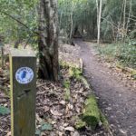 Photo of a woodland path with one of the 'kingfishers' nature trail markers in the foreground