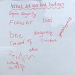 Photo of a white board where children have written what they've seen. Emperor dragonfly, flower, bird, bee, cricket etc etc.