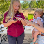Photo of a warden showing a Smooth Snake to a fascinated toddler