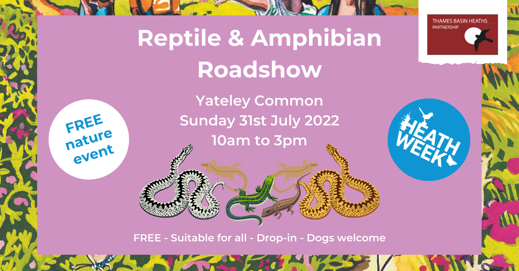 Reptile & Amphibian Roadshow: Yateley Common - Thames Basin Heaths