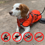 Photo of a spaniel with a "K9 Fire Patrol" coat on.