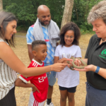 Photo of a family enjoying holding a Grass Snake.