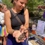Photo of a young lady holding a Smooth Snake.