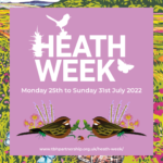 Pretty banner for Heath Week - Monday 25th to Sunday 31st July 2022