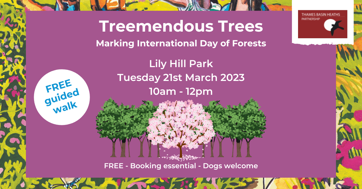 Attractive poster with drawings of trees to advertise the event.