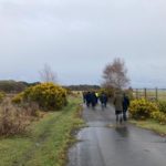 Photo of a group of wardens walking down a tarmac track on the perimeter of the airfield. Bright yellow gorse in flower.