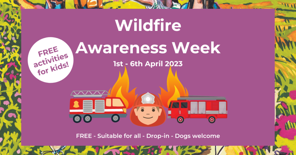 Attractive poster with drawings fire engines and a fire fighter to advertise the event.