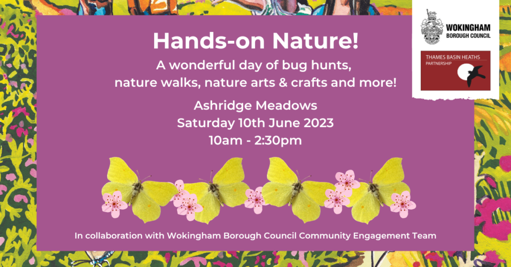 Attractive poster with drawings of butterflies to advertise the event on June 10th.