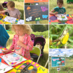 Photo montage of family activities. Painting and signs from the nature trail. A cricket on a flower.