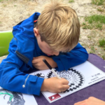 Photo of a boy working on a colouring sheet. The sheet depicts a curled up Adder.