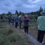A photo taken at dusk, as people wait for Nightjars to start churring in the fading light.