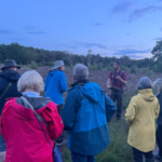 Photo of a group of people gathered at dusk. They're listening for Nightjars.