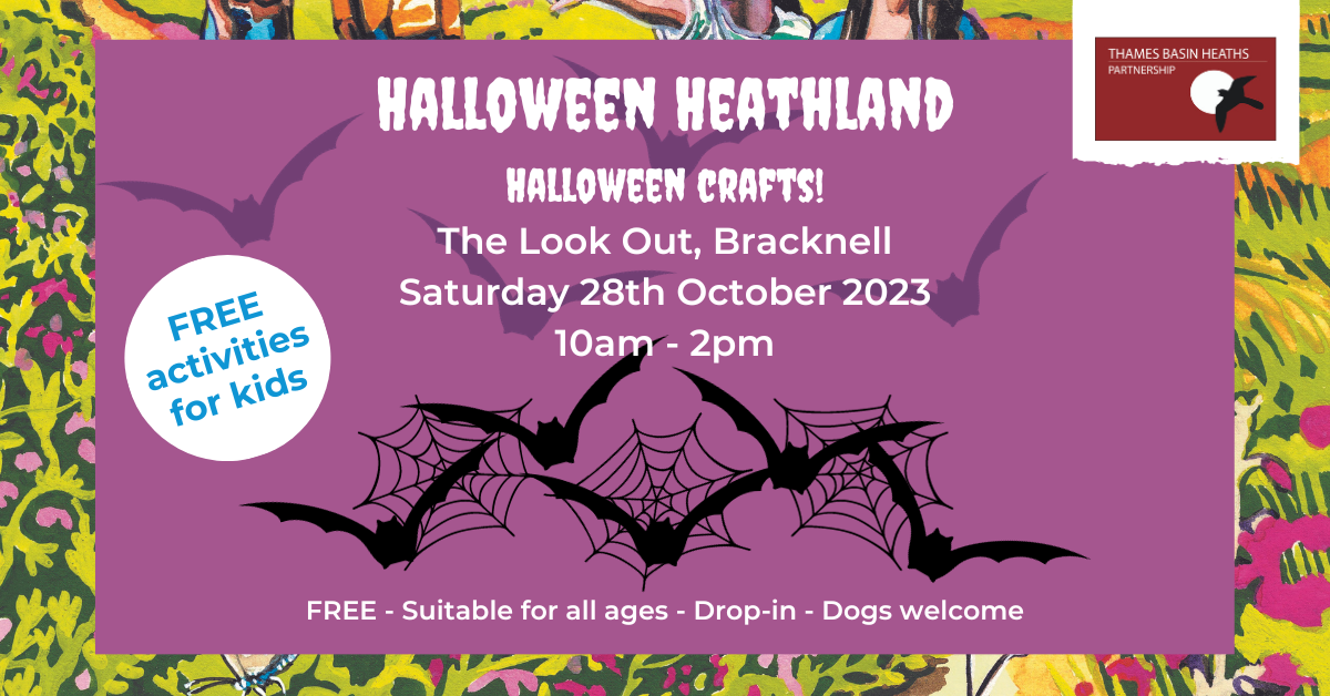 Spooky purple poster advertising a Halloween event at The Look Out. Containing images of bats and spider webs