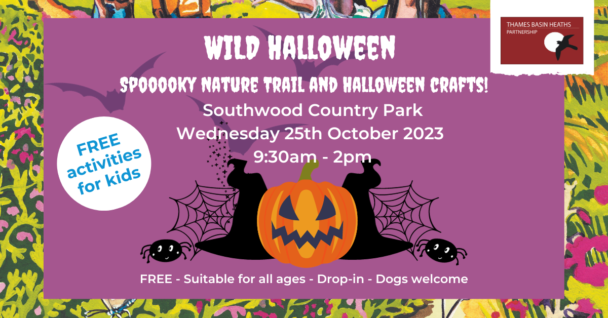 Spooky purple poster advertising a Halloween event at Southwood Country Park. Containing images of pumpkins, witches hats and spider webs