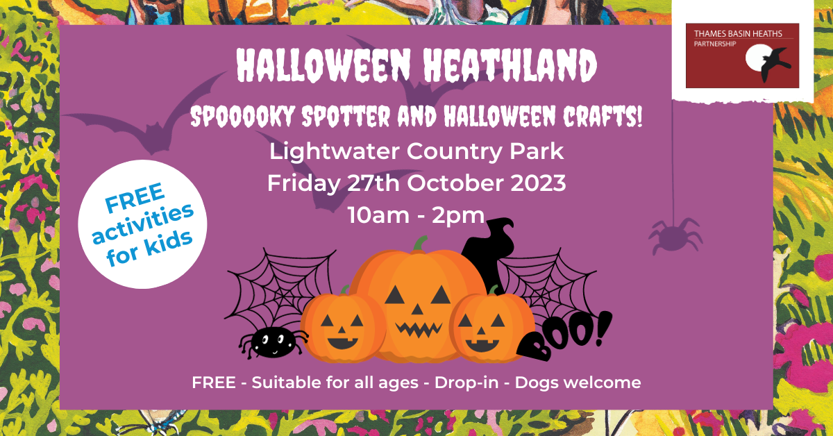 Spooky purple poster advertising a Heathland Halloween event at Lightwater Country Park. Contains images of pumpkins, spiders and spiderwebs