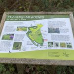 Photo of an information board welcoming visitors to Peacock Meadows.