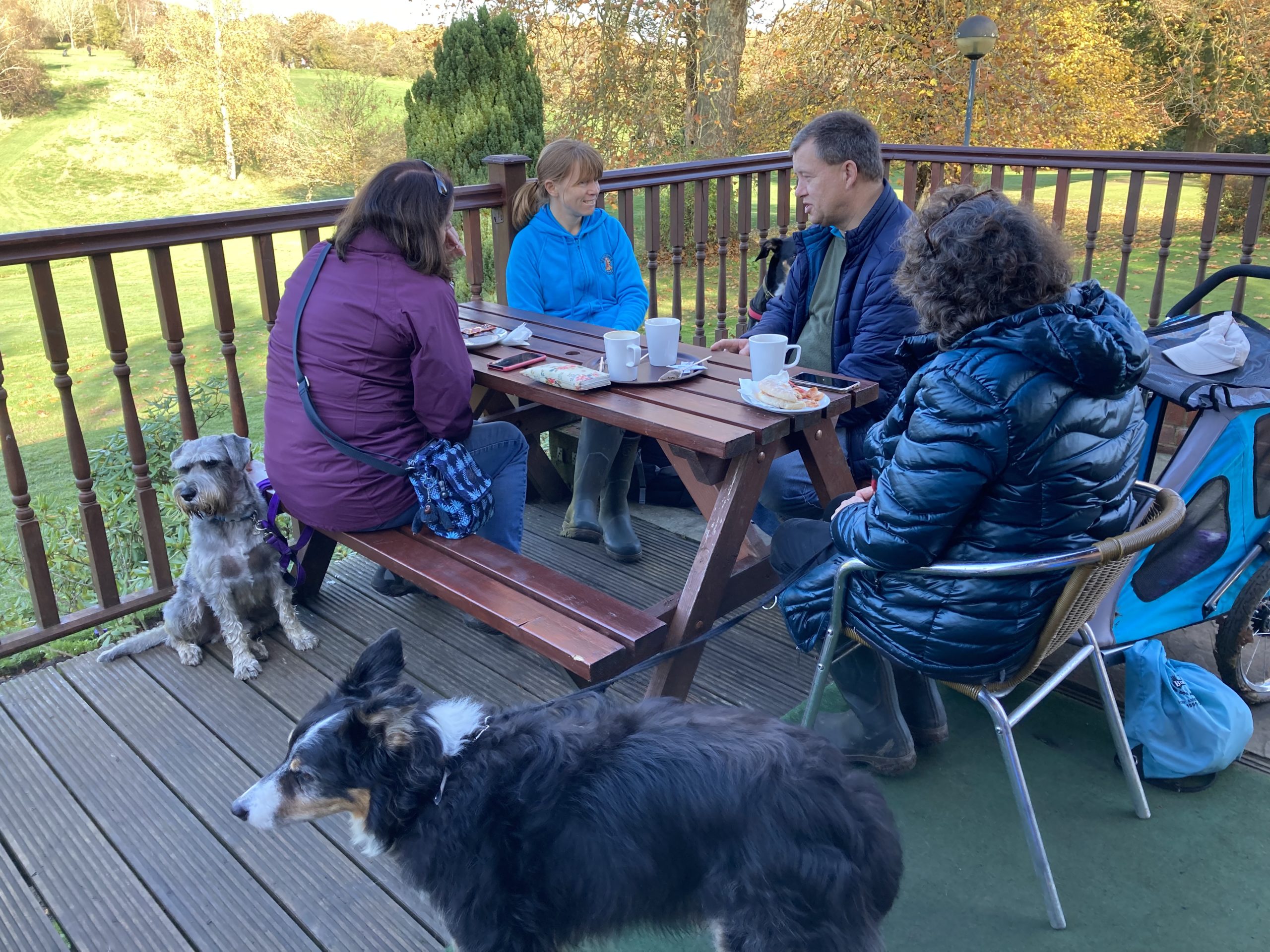 Photograph of four adults chatting and sitting outside at a cafe overlooking a grassy area, with two dogs sitting on the floor beside them. 