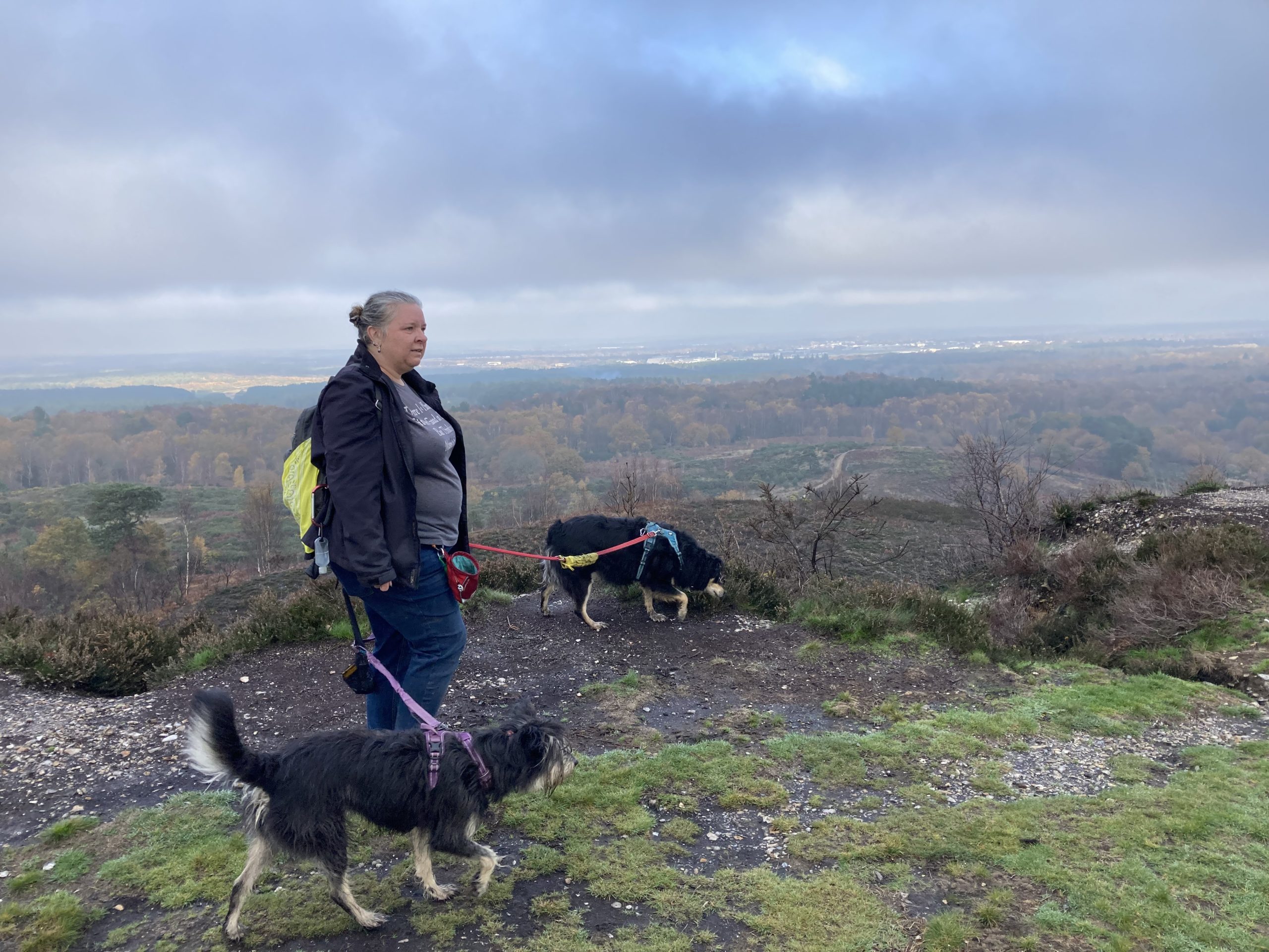 Photograph of a female with her two dogs on lead, walking in front of a wintry heathland viewpoint up high