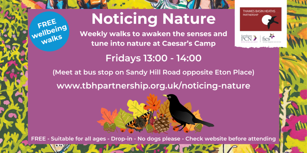 Noticing Nature: Weekly wellbeing walks at Caesar's Camp - Thames Basin ...