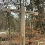 Photo of a finger post pointing to "Blandford Woods" and "Wellesley Woodlands"