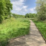 Photo of a lovely green meadow with a wooden boardwalk running through it.