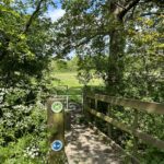 Photo of a small wooden bridge into a lovely green meadow.