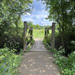 Photo of a small wooden bridge into a lovely green meadow.