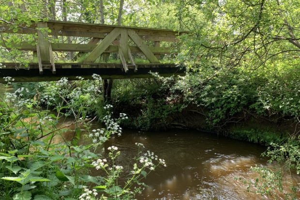 Photo taken from the banks of the Mill Bourne looking up to a wooden bridge. The scene is made prettier by the Cow Parsley that's in bloom.