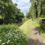 Pretty photo of the tow path along the River Wey. There a small bridge in the photo, and attractive vegetation on either side. of the water.