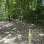 Photo of woodland on a bright sunny day. A waymarker points the way.