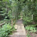 Photo of a surfaced path running through woodland.