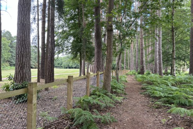 Photo of a woodland path with bracken either side, beside a fence. You can see across to the golf course on the other side.