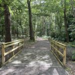 Photo of a woodland in dappled light. A wooden bridge in the foreground.