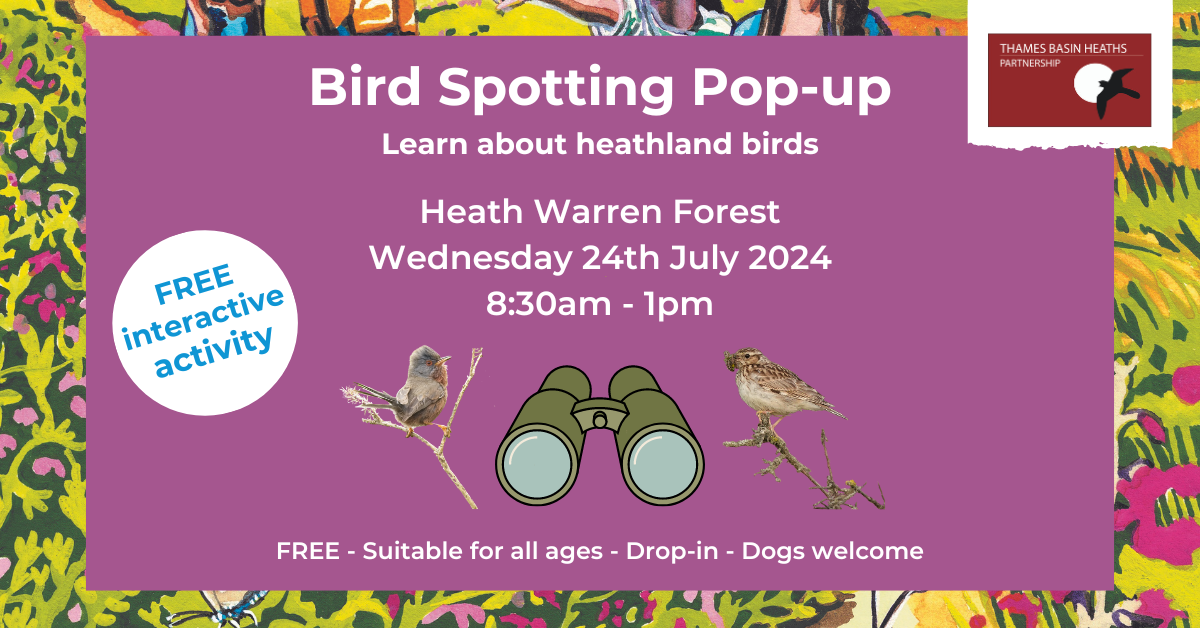 Pretty pink poster to advertise a bird spotting pop up event. Containing graphics of binoculars, a Woodlark and a Dartford Warbler