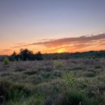 Photo of a lovel;y orange sunset. Looking over the heathland of Whitmoor Common.