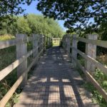 Photo taken looking down a wooden bridge / boardwalk over a soggy area. Trees make it shady.